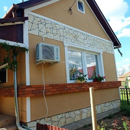 Olga Vendeghaz Apartment Abadszalok Luaran gambar