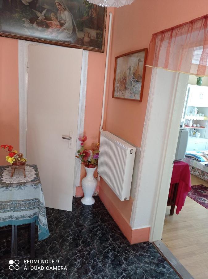 Olga Vendeghaz Apartment Abadszalok Luaran gambar