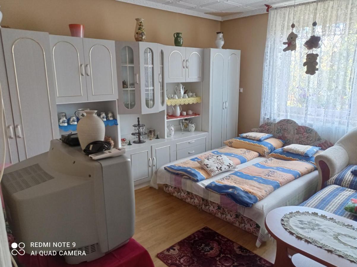 Olga Vendeghaz Apartment Abadszalok Luaran gambar