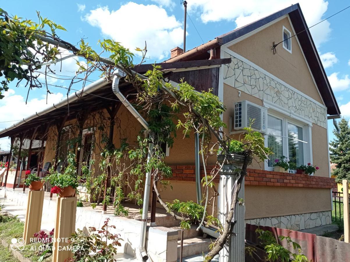 Olga Vendeghaz Apartment Abadszalok Luaran gambar