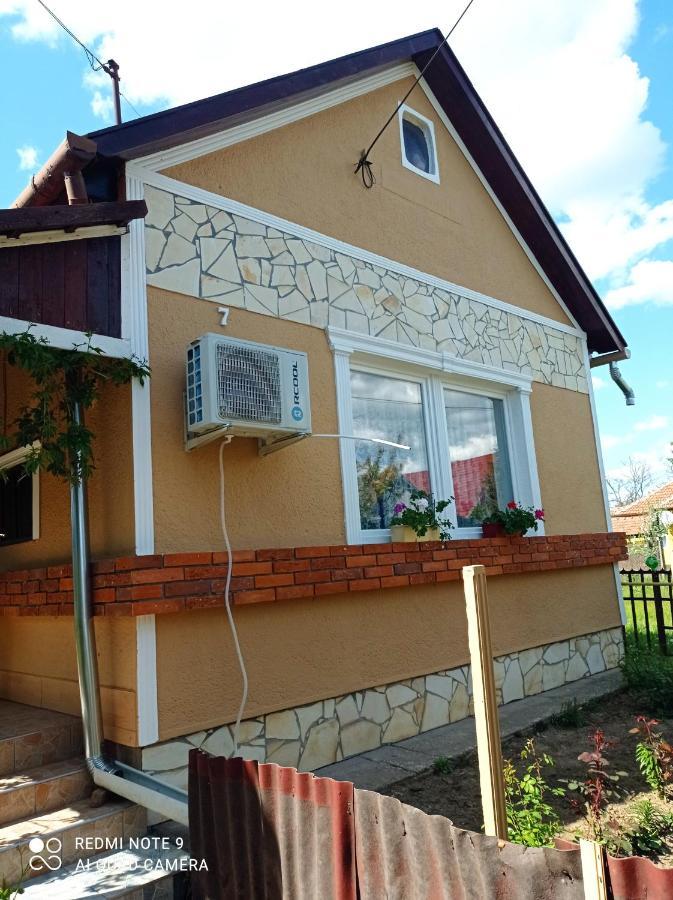 Olga Vendeghaz Apartment Abadszalok Luaran gambar