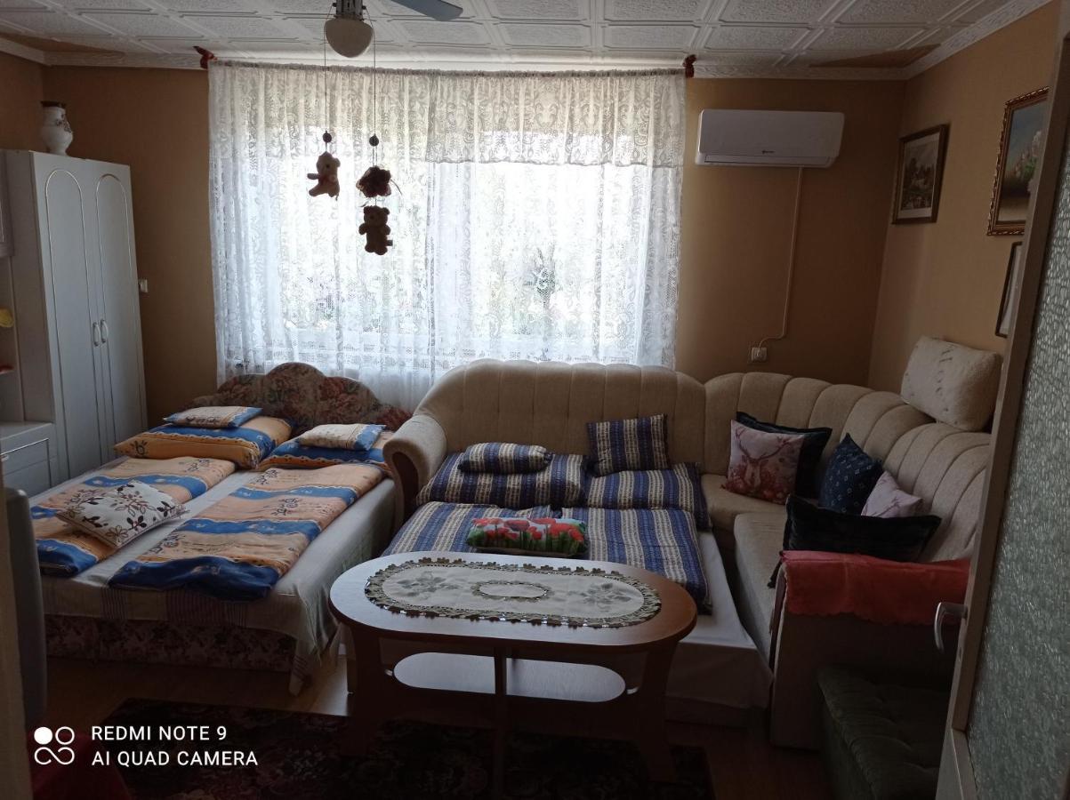 Olga Vendeghaz Apartment Abadszalok Luaran gambar