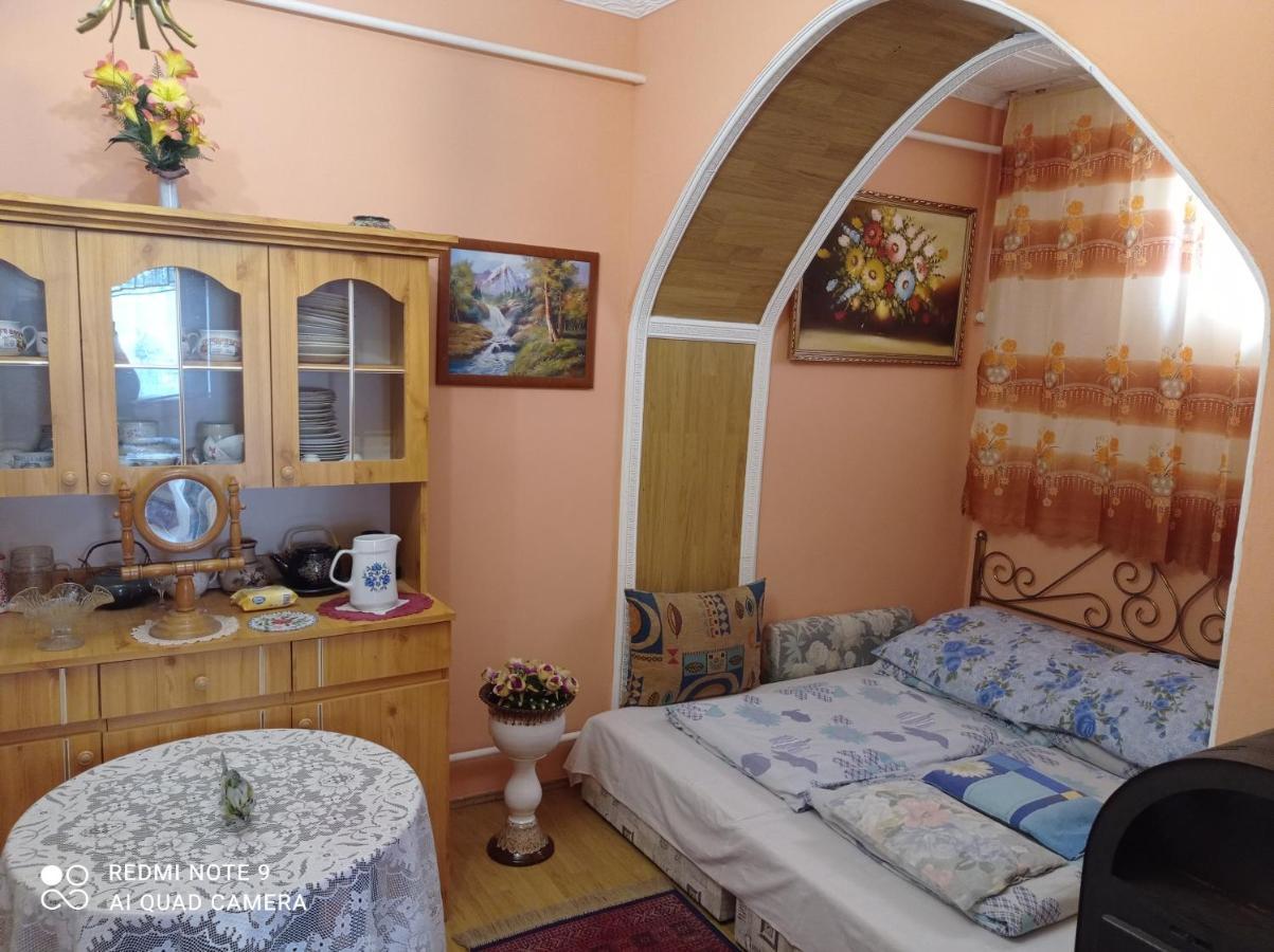 Olga Vendeghaz Apartment Abadszalok Luaran gambar